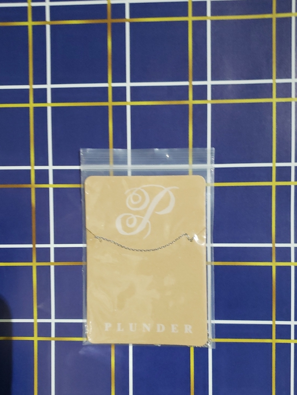 NWT-Plunder Delicate Silver Chain Necklace